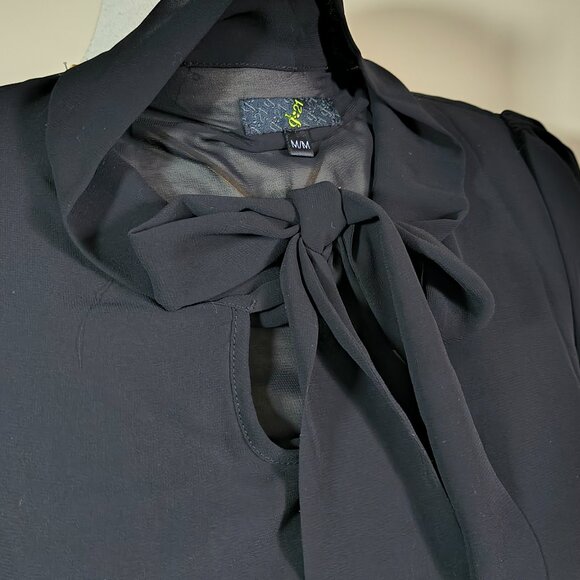 Sheer Bow Chiffon Blouse - Picture 3 of 6